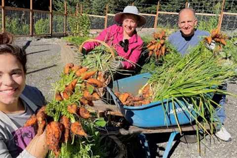 We were BLOWN AWAY with the Carrot and Onion Harvest!