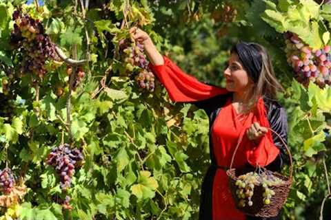 Cooking Celery Stew with Beef in the Village of Iran | iran Village Life