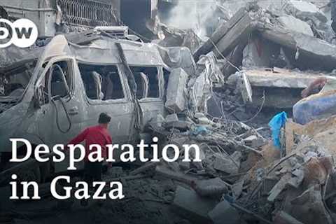 UN: Civil order breaking down in Gaza as food and water run out | DW News