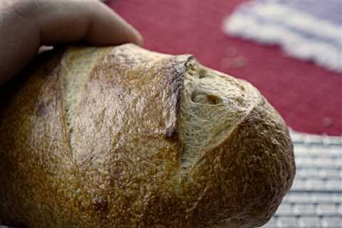 Can Instant Yeast Work For Long Retards?
