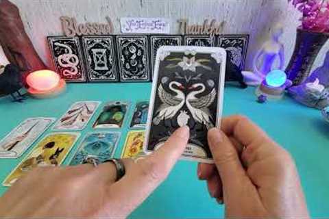 LIBRA ♎️ You''re an unexpected sudden SUCCESS! 0220/1111 3333/8878 AGAIN!!!