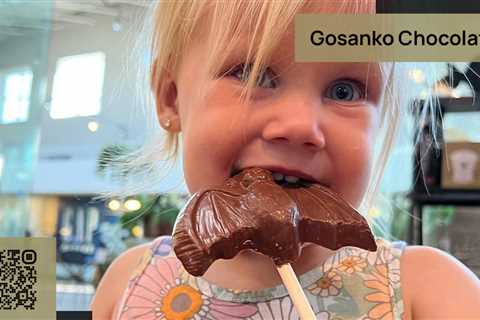 Standard post published to Gosanko Chocolate - Factory at November 11, 2023 17:00