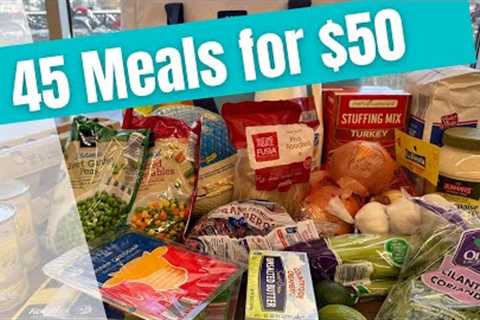 45 Meals for $50 | Quick and EASY Recipes | A Budget Friendly Meal Plan | Turkey Recipes