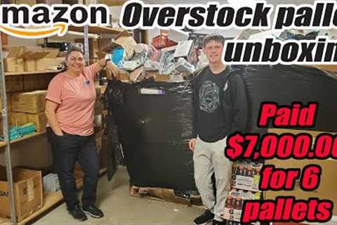 Unboxing a pallet of Amazon Overstock - Pet items, Clothing, Toys and more