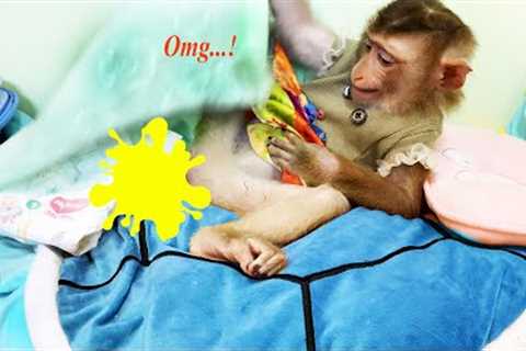 Monkey Lyly was embarrassed when he peed on the mattress so he didn''t dare get up