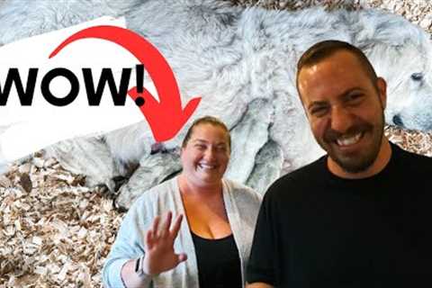 The Most Adorable New Additions To The Farm | ANOTHER BIRTH