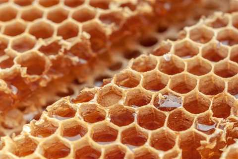 10 Best Benefits of Eating Honeycomb - Nature's Powerhouse - Flank Waltham
