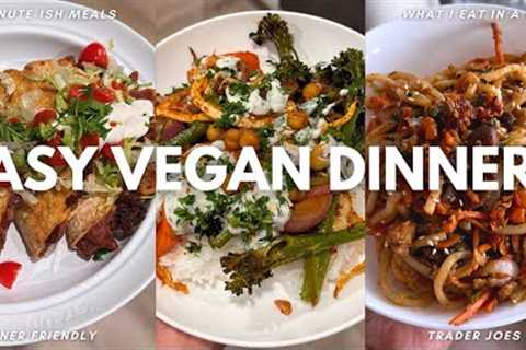 Easy Vegan Dinner Ideas +Trader Joe''s Haul | Smashed Tacos, Sheet Pan Dinner, Udon Noodle Recipe