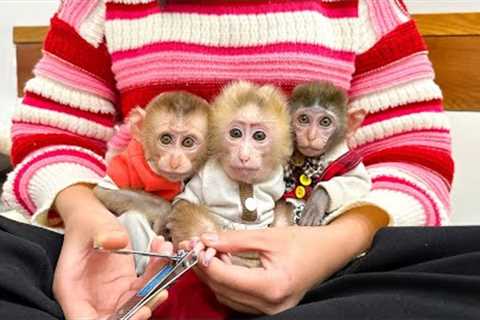 Mom applied medicine to Su''s sore feet and cut Mo,Na,Su''s fingernails and toenails! - Family..