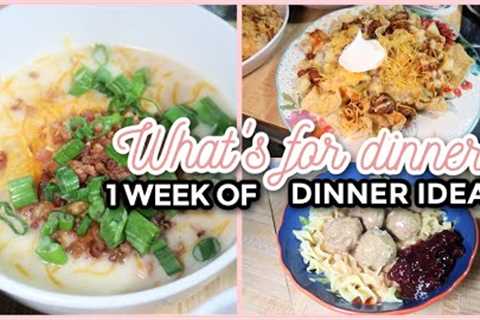 EASY FAMILY DINNER IDEAS & THANKSGIVING | WHAT''S FOR DINNER? #302 | 7 Real Life Family Meal..