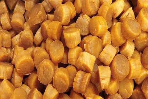 The Delicious and Cultural Significance of Dried Scallops in Traditional Chinese New Year Dishes