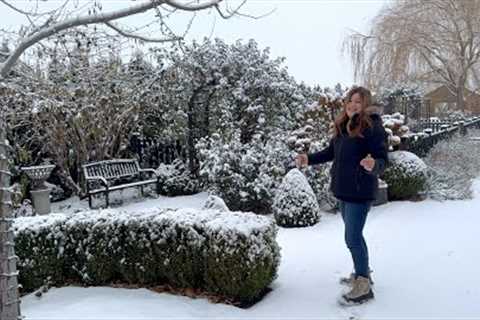 December Garden Tour- Our First Snow of the Season! ❄️🌲❄️ // Garden Answer