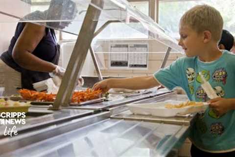 Helping your child navigate school lunch options